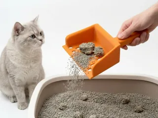 猫砂铲