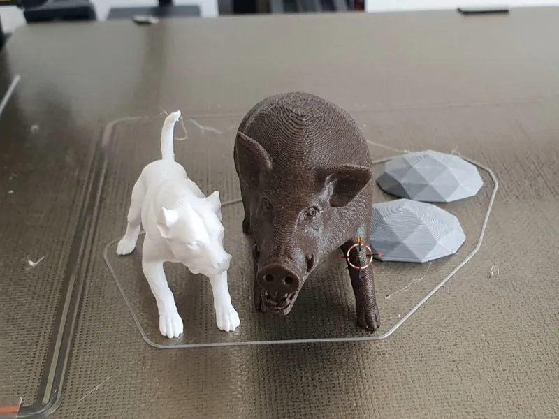 dogo cazando