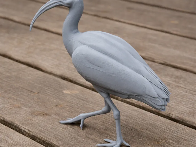 Ibis