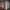 Bookmark Cozy Christmas Scene