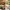 Herb Garden Markers | Set of 12 Embossed Plant Stakes