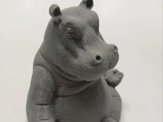 Meditating Hippo