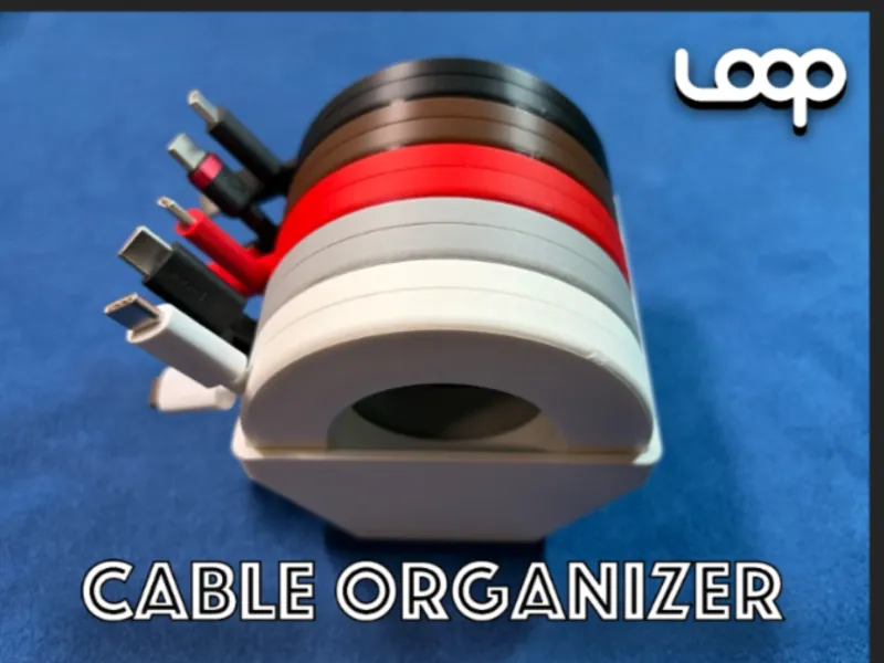 LOOP cabo organizador