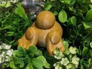  The Stuck Rabbit