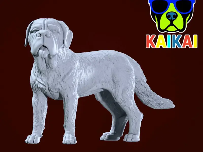 St. Bernard - Saint Bernard model - 3D print