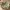 Porte-savon Succulente | Plateau de drainage en forme de feuille