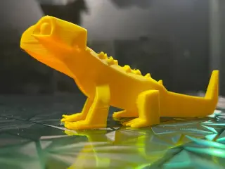 Cali Leo gecko