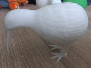Kiwi Bird