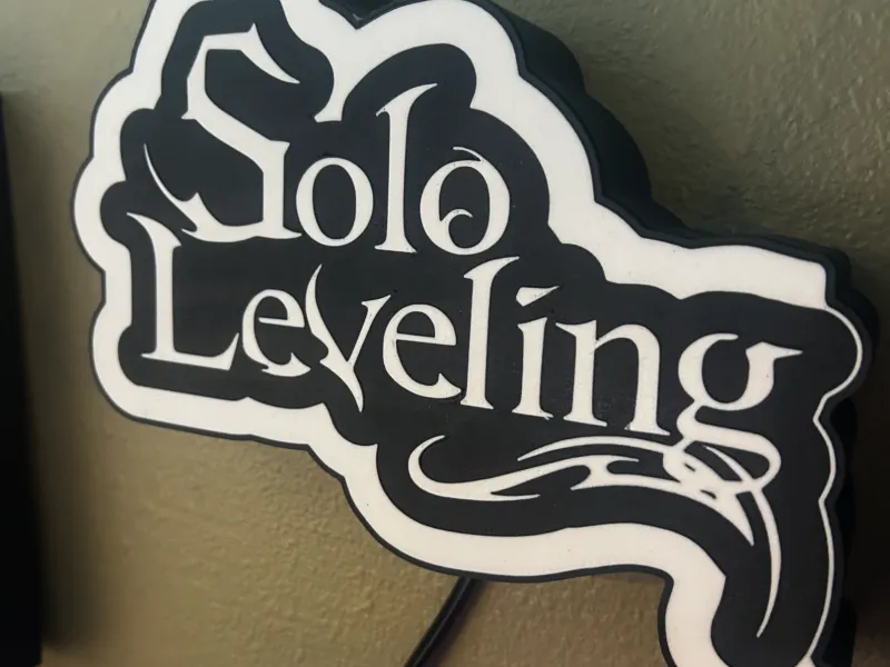 Solo Leveling Leuchtkasten