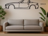 BWW Z4-0
