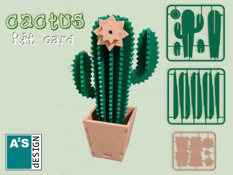 Tarjeta de Kit de Cactus