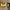 Polisher_wall_mount