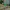 Tent Stakes 8mm