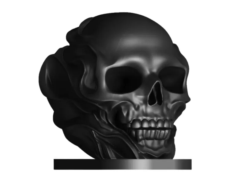 Human Skull Home Decor