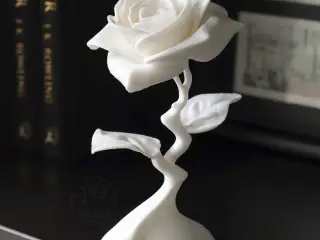 Modern Rose