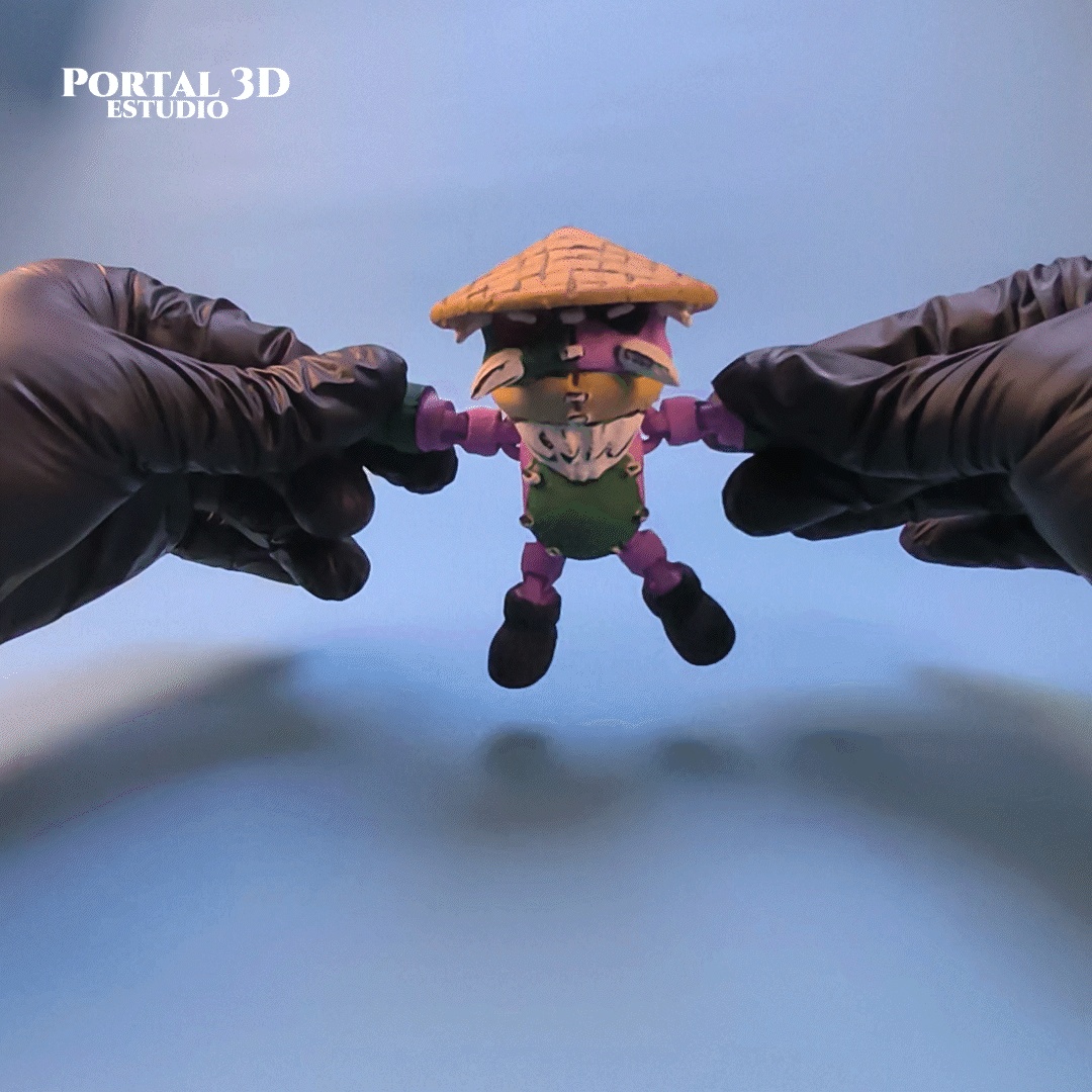 TOAD SENSEI articulado-0