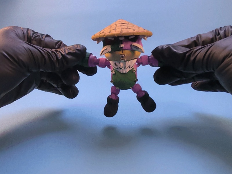 蟾蜍师父 可动