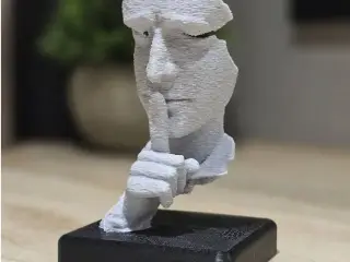Busto contemporaneo
