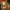 Manky Kong Donkey Kong Country