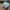 Verbundgetriebe: 360:1-Untersetzung