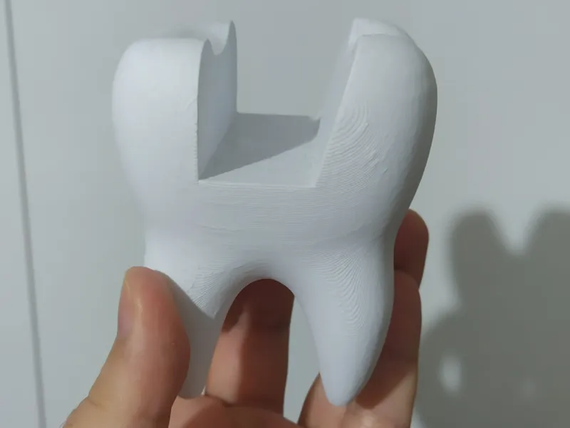 Molar Business Card Holder