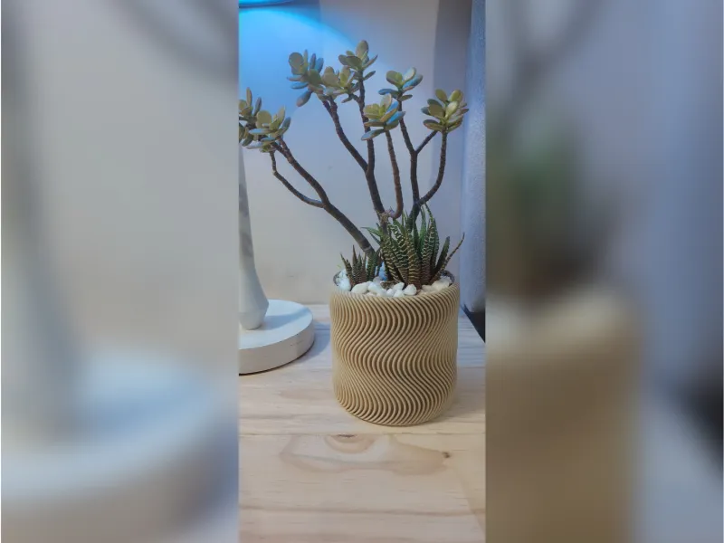 Minimalist Desktop Planter & Succulent Pot