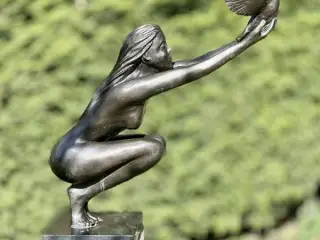 go on fly
