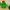 Suporte de Spike para Echo Pop (Brawl Stars)