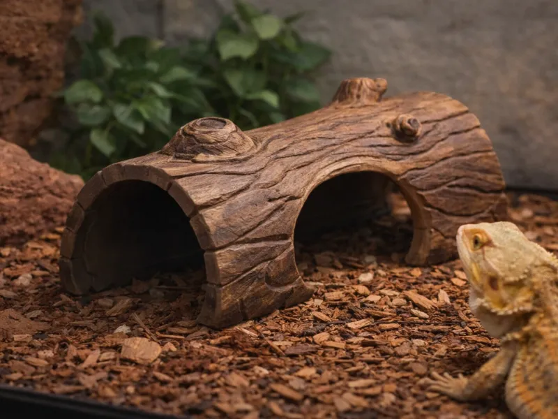 Lizard log