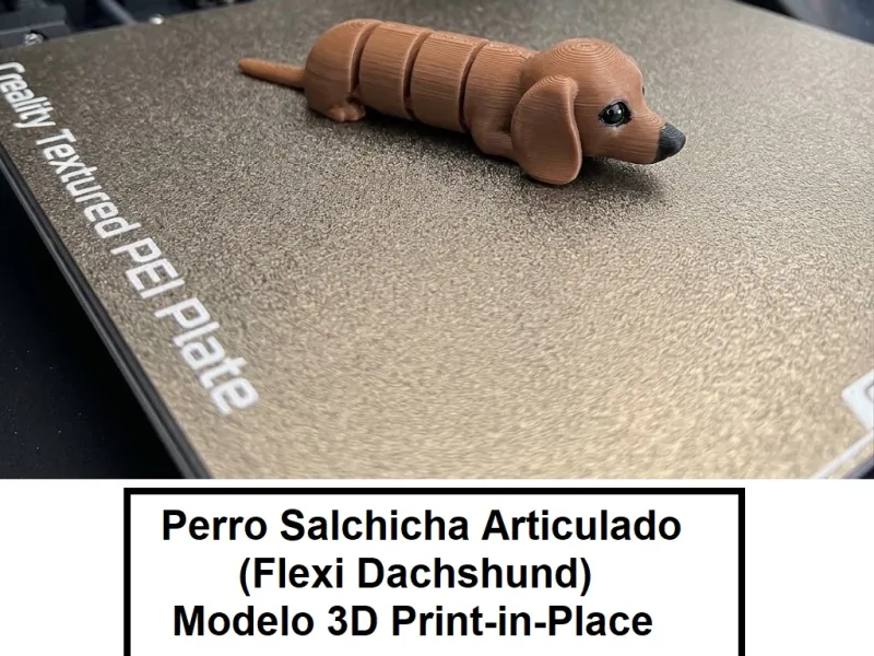 perro salchicha flex