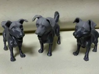 Beautiful dog