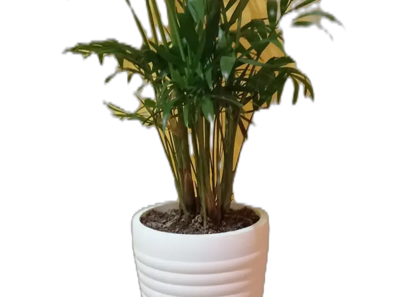 Planter