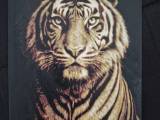 Tigre doré-0
