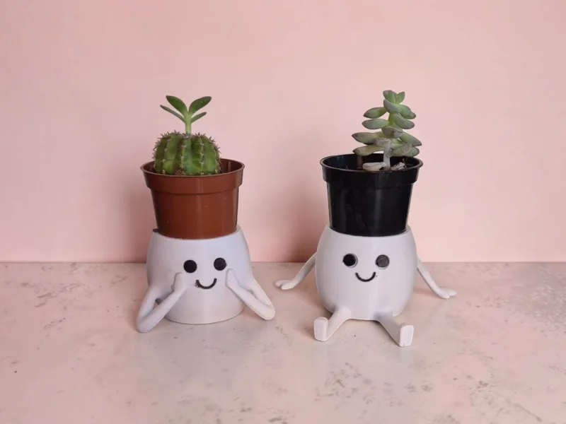 vaso fofo suporte cacto suculentas planter cute planter succ
