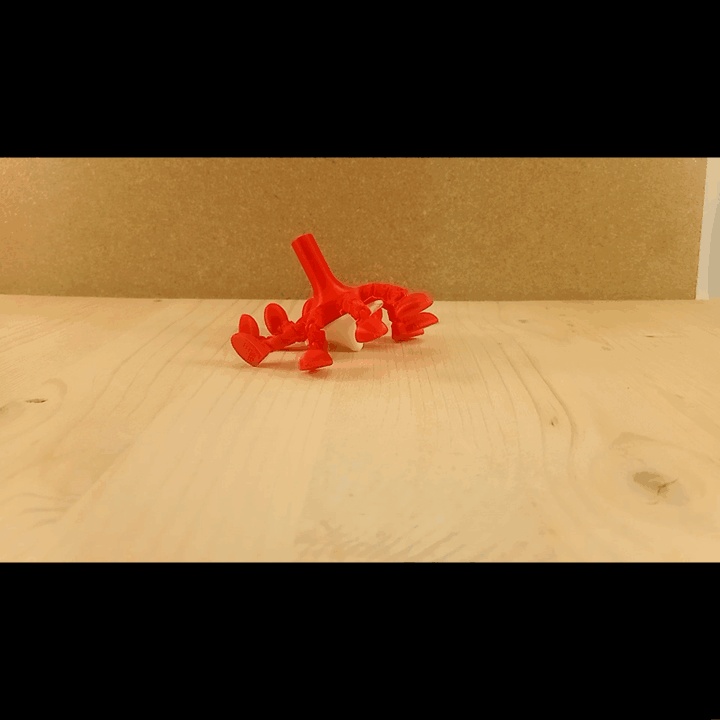 Spinning Top Mutated With Legs