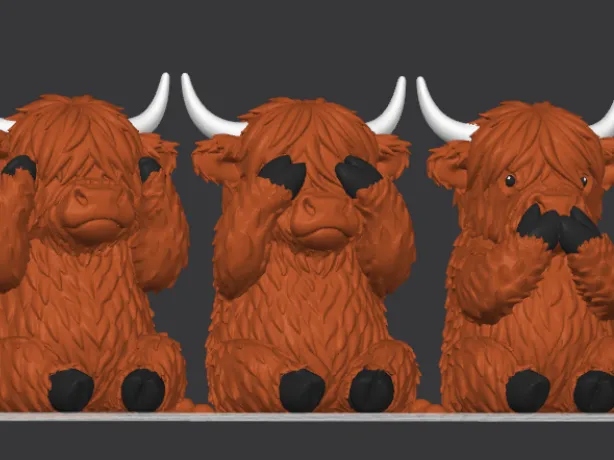 Highland cows. No evil.