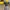 Karcher Mousse 1L