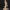 Sonia – Beauty Bust Collection