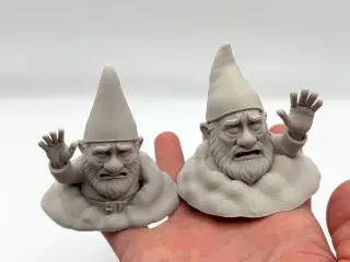 Snowstuck Gnomes