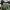 Francotirador visor