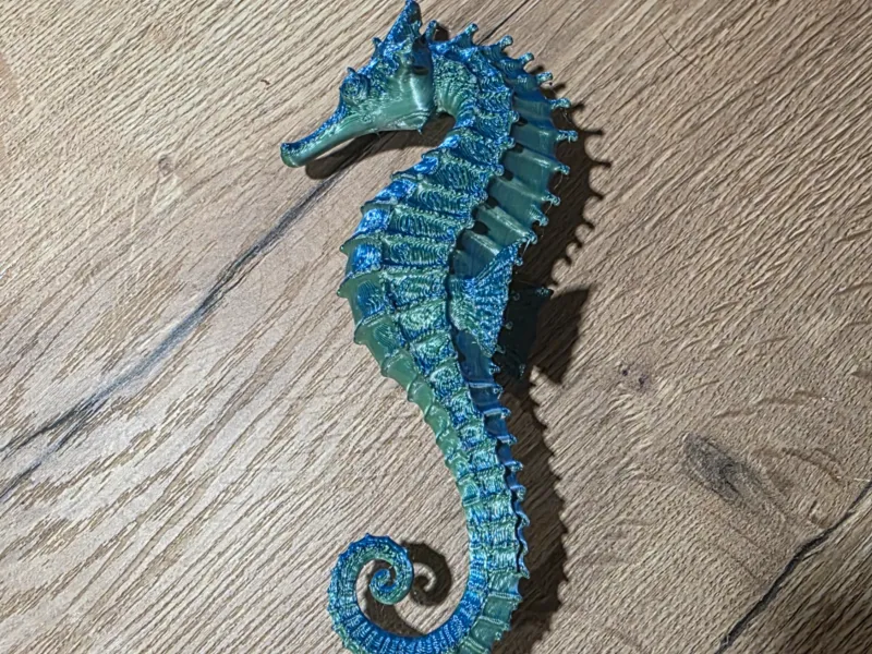 Seahorse
