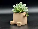 Sprouting Tree Stump Magnetic Planter-0
