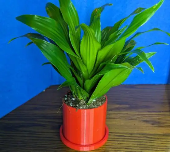 Convertible Mountain Pot-2