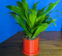 Convertible Mountain Pot-2