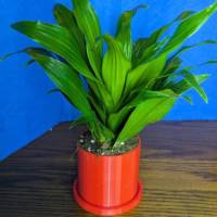 Convertible Mountain Pot-2
