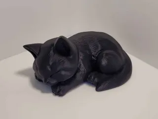 Chat endormi