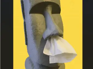 Easter Island tissue box