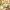 PETALFLOW – Porte-savon floral organique avec fentes de drainage et M