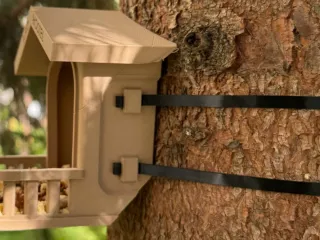 Bird hostel