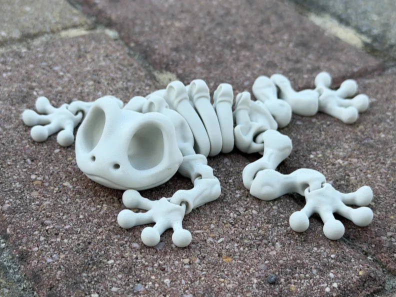 Gearticuleerde Skeletkikker
